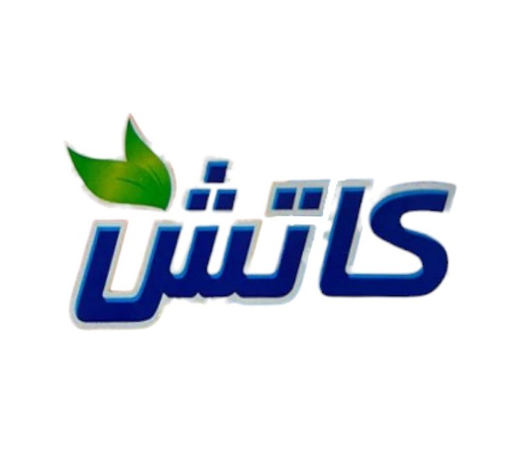 كاتش