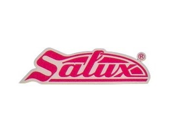 سالوكس